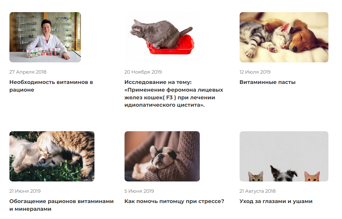 Раздел с экспертными статьями